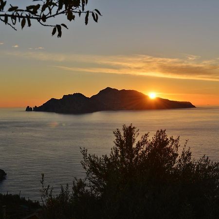 Il Nido Del Gabbiano Διαμέρισμα Massa Lubrense Εξωτερικό φωτογραφία