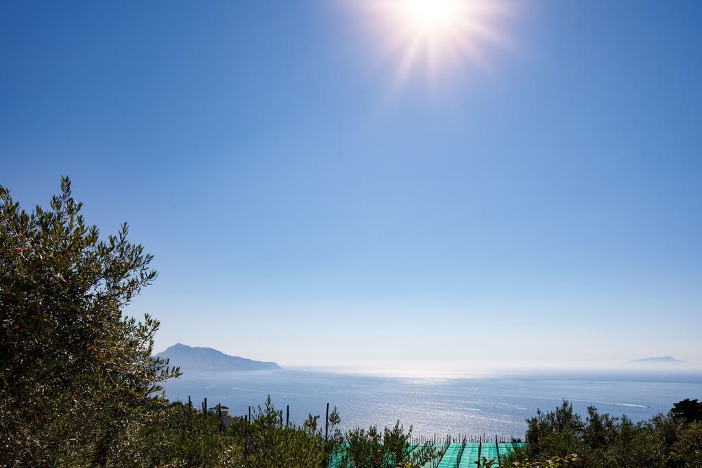Il Nido Del Gabbiano Διαμέρισμα Massa Lubrense Εξωτερικό φωτογραφία